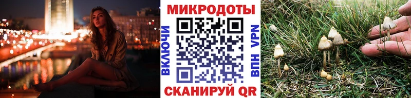 Псилоцибиновые грибы ЛСД  маркетплейс Telegram  Приволжский 